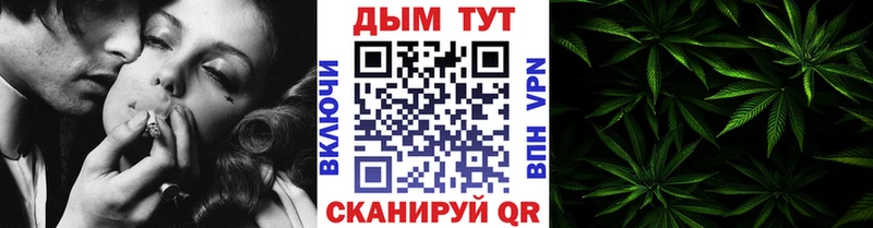 Где можно купить наркотики Сосновый Бор ОМГ ОМГ маркетплейс  КОКАИН  Мефедрон  Канабис 