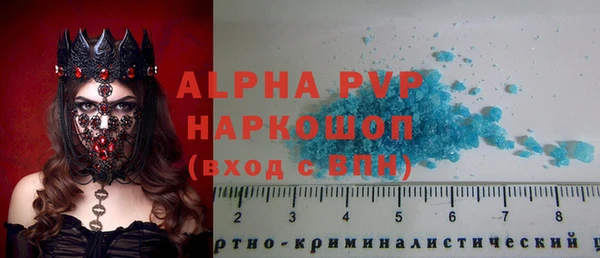 гашик Аркадак