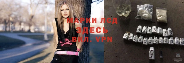 гашик Аркадак
