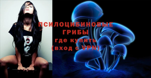 ешки Армянск