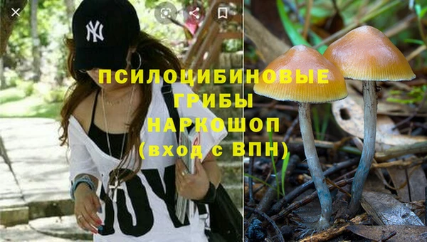крисы Арсеньев