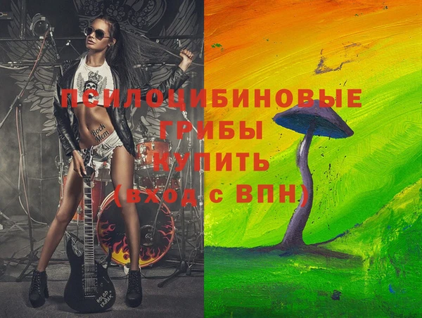 крисы Арсеньев