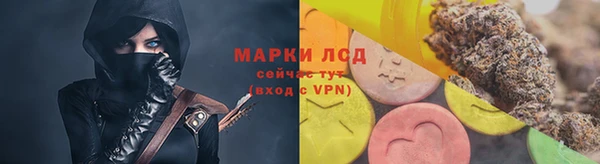 гашик Аркадак