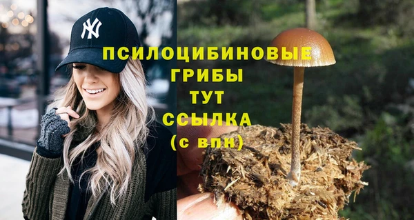 ешки Армянск