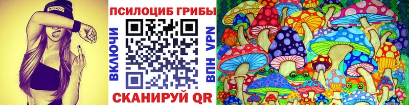 KRAKEN как войти  Сосновый Бор  Псилоцибиновые грибы MAGIC MUSHROOMS 
